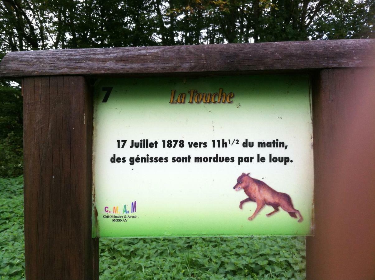 مبيت وإفطار Domaine De La Touche Mosnay المظهر الخارجي الصورة