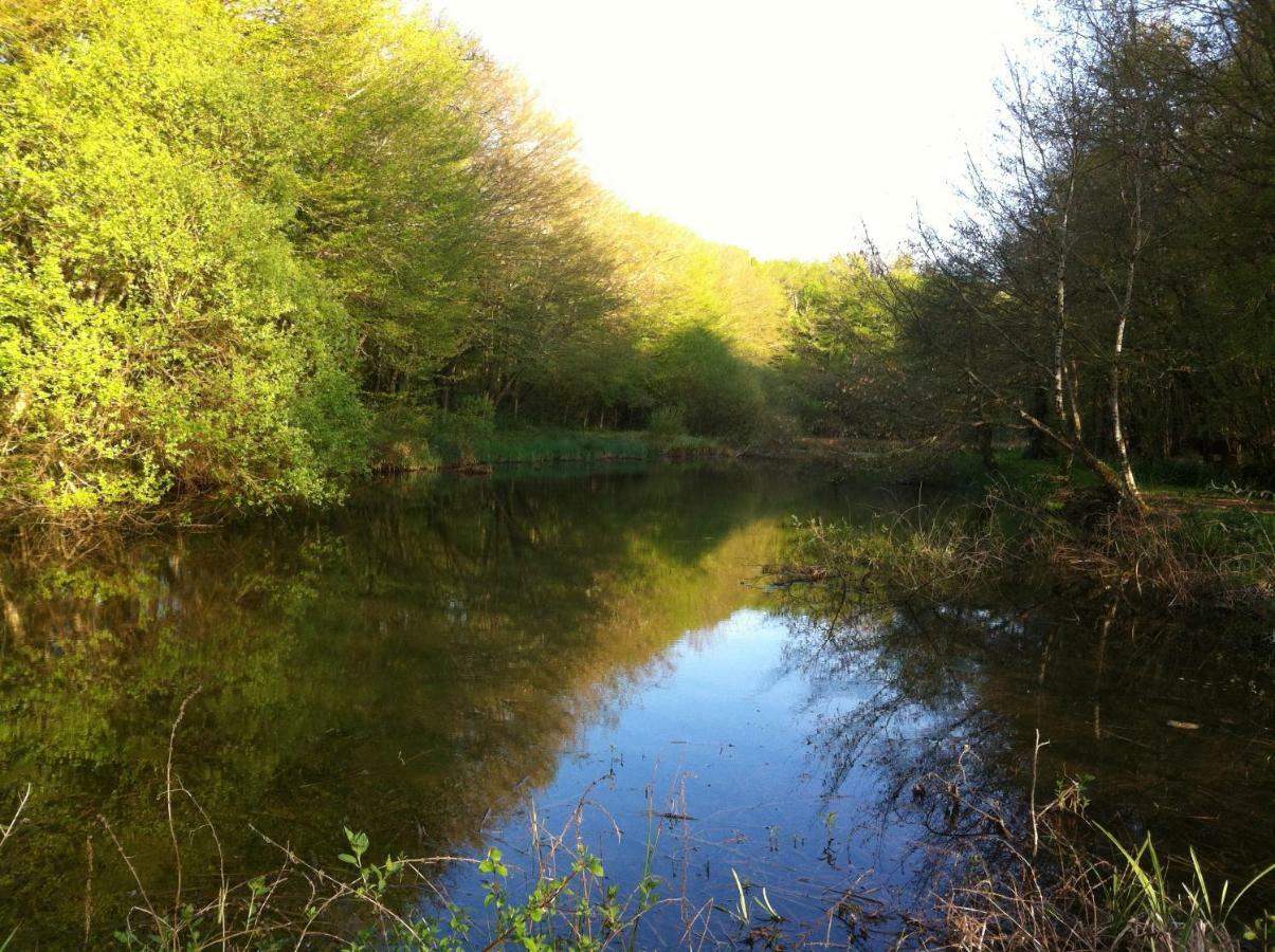 مبيت وإفطار Domaine De La Touche Mosnay المظهر الخارجي الصورة